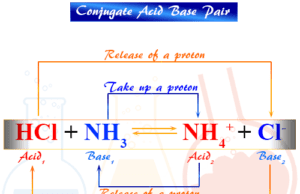 Conjugate Acid Base pair Protonic definition or Bronsted Lowry Conjugate acid base pair in Chemistry