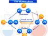 Law Mass Action Mass action law formula in chemical equilibrium and active masses or molar concentration in chemistry
