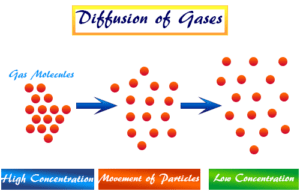 Graham’s Law Graham's Law definition, application and formula to calculate rate of diffusion or effusion of gases