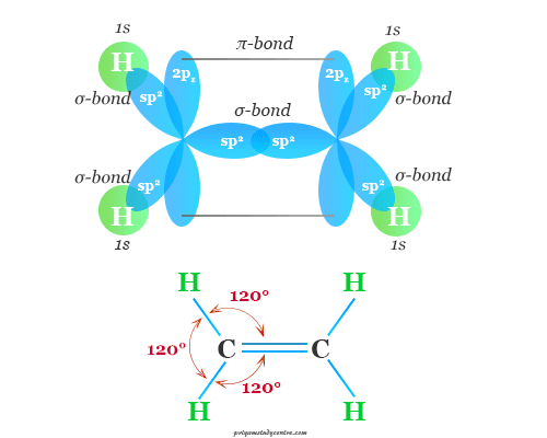 Alkene or Olefin like ethylene (C2H4) structure in Organic Chemistry