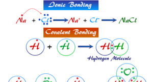 Chemical Bonding Different types of bonding (ionic, covalent, metallic bonds) in the common chemical compound