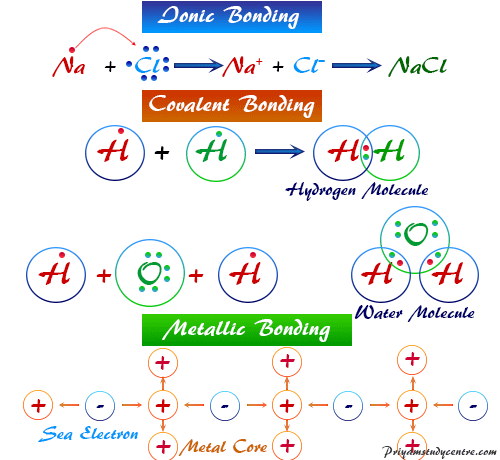 Different types of chemical bonding (ionic, covalent, metallic bonds) in the common compound