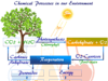 Environmental chemistry Study Chemistry in Environmental Science and Abiotic, Biotic and Energy Components, Ecosystem Conservation