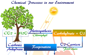 Environmental chemistry Study Chemistry in Environmental Science and Abiotic, Biotic and Energy Components, Ecosystem Conservation