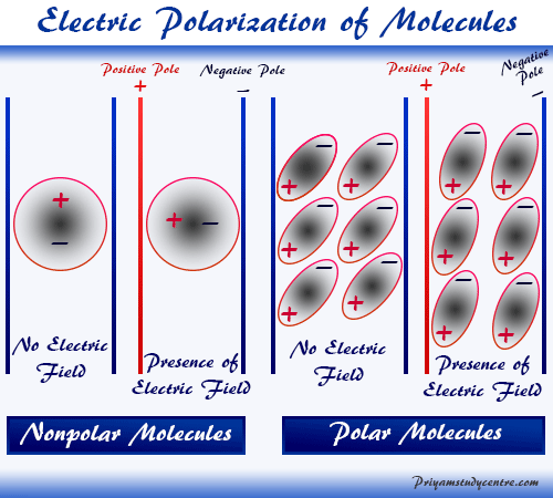 Electric polarization definition and example of polarized molecules in chemistry