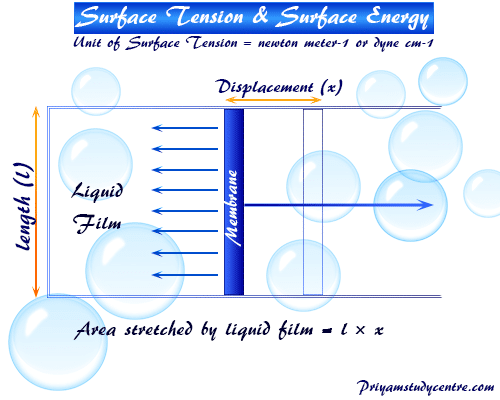 Udvinding sæt skab Surface Tension - Surface Energy - Definition, Units, Examples