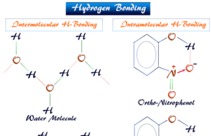 Hydrogen Bonding Hydrogen bonding and intermolecular and intramolecular hydrogen bond in water, ice, ortho-nitrophenol molecule