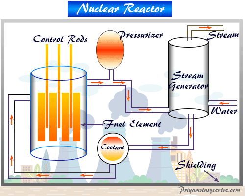 Reactor of nuclear power plant for electrical energy generation sources