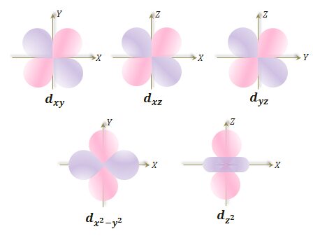 Principal, azimuthal, magnetic quantum numbers and shapes of d orbitals or sub-shells of an atom