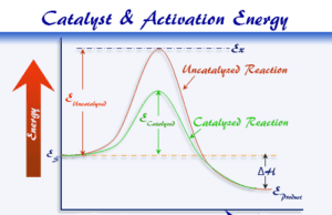 Chemical Catalyst Chemical catalyst or catalysts effect on activation energy or rate of catalysis reaction in chemistry or biology