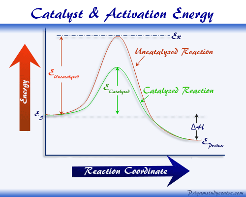 What are catalysts?