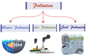 Pollution Environmental pollution caused by pollutants are types of substances or forms of energy which harmful effects on air, water, land, or soil in our earth