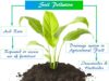 Soil Pollution Soil pollution or contamination sources, prevention, and effects of acid rain or fertilizer on soil acidity