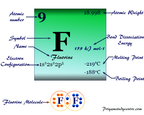 Fluorine element chemical symbol and the periodic table properties