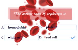 Biology Quiz 4 Biology quiz 4 for school college competitive exams