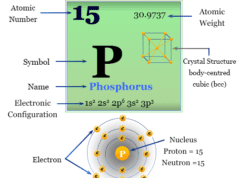 Phosphorus Phosphorus chemical element symbol, properties, allotropes, compounds, uses and position on the periodic table
