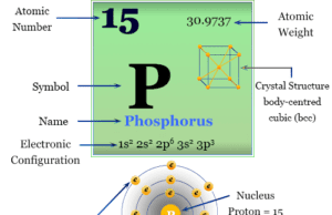 Phosphorus Phosphorus chemical element symbol, properties, allotropes, compounds, uses and position on the periodic table