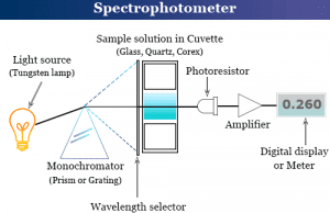 Spectrophotometry Working components and principle of spectrophotometer in spectrophotometry with definition and instrumentation