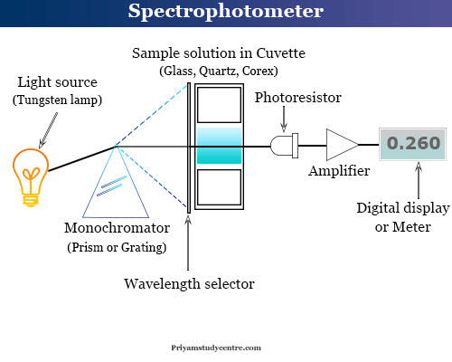 what is a spectrophotometer used for in biology