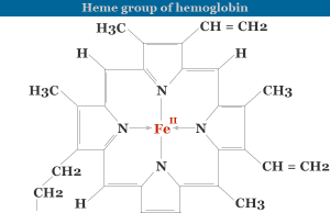 Hemoglobin Structure of heme unit or group in hemoglobin and function of red blood cells or RBCs