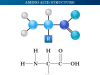 Amino Acids Structure and examples of amino acids that contain amino and carboxyl groups in their side chain