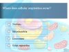 Biology Quiz on Cells Biology quiz on cells or practice test questions answers on cell structure and function
