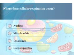 Biology Quiz on Cells Biology quiz on cells or practice test questions answers on cell structure and function