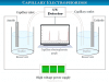 Capillary Electrophoresis Capillary zone electrophoresis instrument and principle for analysis DNA, mRNA and proteins