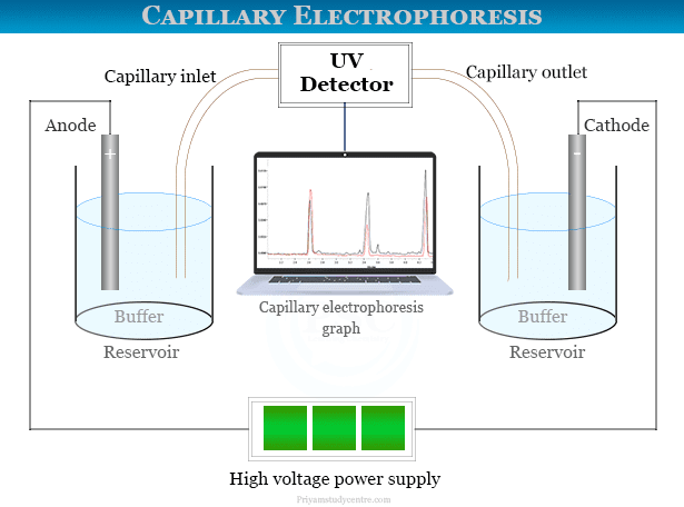 Capillary zone electrophoresis instrument and principle for analysis DNA, mRNA and proteins