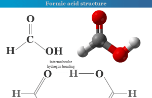 Formic acid Formic acid formula and chemical structure