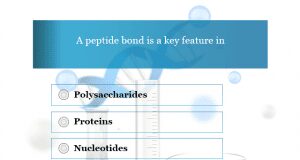 Quizzes Quizzes online on chemistry and biology