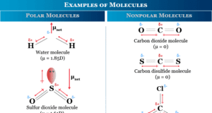 Molecule Definition and examples of polar and nonpolar molecules