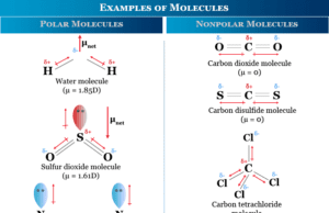 Molecule Definition and examples of polar and nonpolar molecules