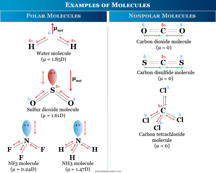 Examples of polar and nonpolar molecules