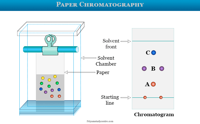Paper chromatography experiments or principle and procedure uses in labs