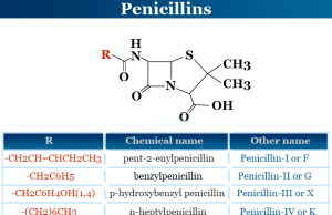 Penicillin List of penicillin types drugs or antibiotics in medicine