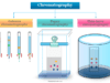 Chromatography Chromatography techniques, principle, stationary and mobile phase definition and types of chromatographic technique