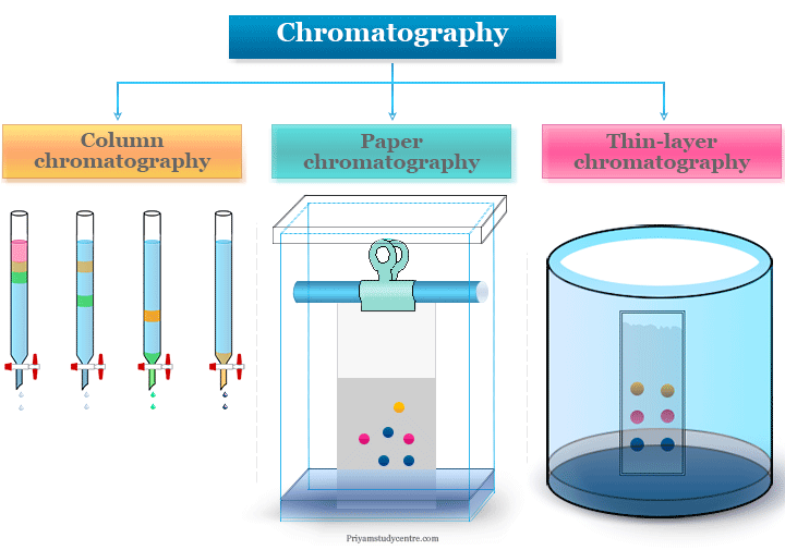 who discovered paper chromatography