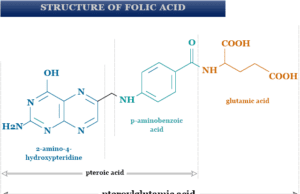 Folic acid (Folate) Folic acid structure and uses of folate or vitamin B9 in anemia or benefit of folic acid in pregnancy