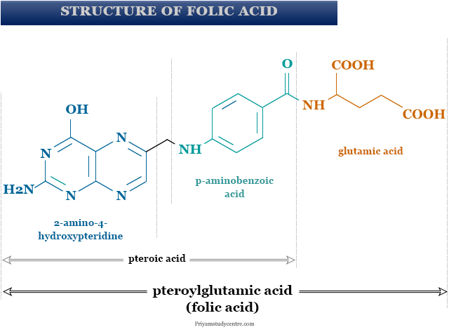Folic acid structure and uses of folate or vitamin B9 in anemia or benefit of folic acid in pregnancy