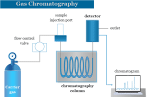 Gas Chromatography Gas chromatography instrumentation components such as column, detector and stationary phase definition and applications