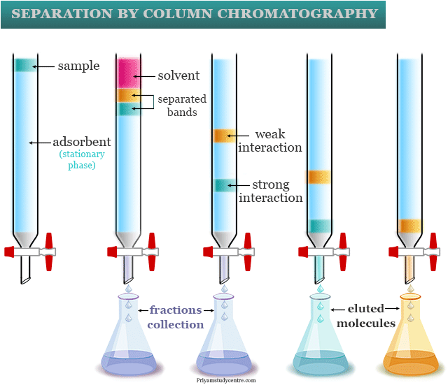 Separation or purification by column chromatography procedure or principle