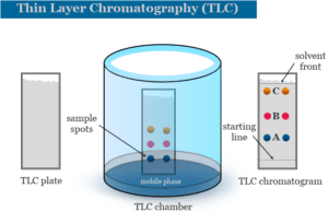 Thin Layer Chromatography Thin layer chromatography principle, method of instrumentation and experiment of TCL on amino acids