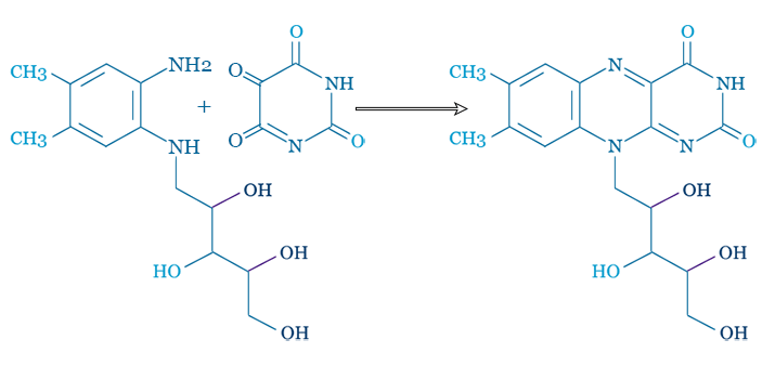 Synthesis and structure of of Riboflavin or vitamin B2