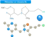 Thiamine Thiamine or vitamin B1 deficiency causes, sources or foods rich in thiamine supplement, functions, uses, structure