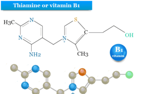 Thiamine Thiamine or vitamin B1 deficiency causes, sources or foods rich in thiamine supplement, functions, uses, structure