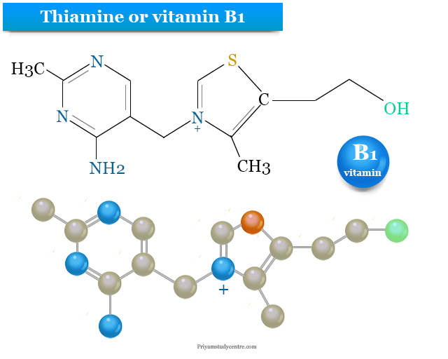 Thiamine or vitamin B1 deficiency causes, sources or foods rich in thiamine supplement, functions, uses, structure