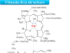 Vitamin B12 Vitamin B12 also known as cobalamin structure with deficiency, natural food sources, functions
