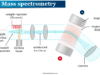 Mass Spectrometry Mass spectrometry analysis, instrumentation, definition, principles, applications in organic chemistry