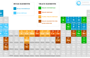 Essential Element Essential and trace chemical elements definition and examples of elements in biological science